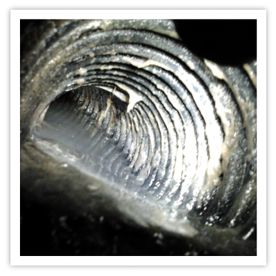 Restauration de drains français